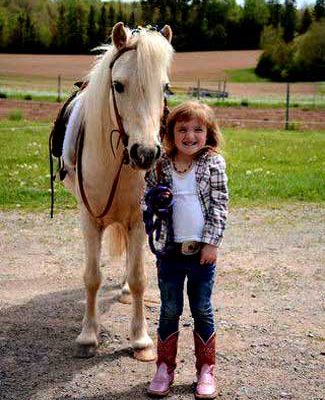 Brudenell Riding Stables