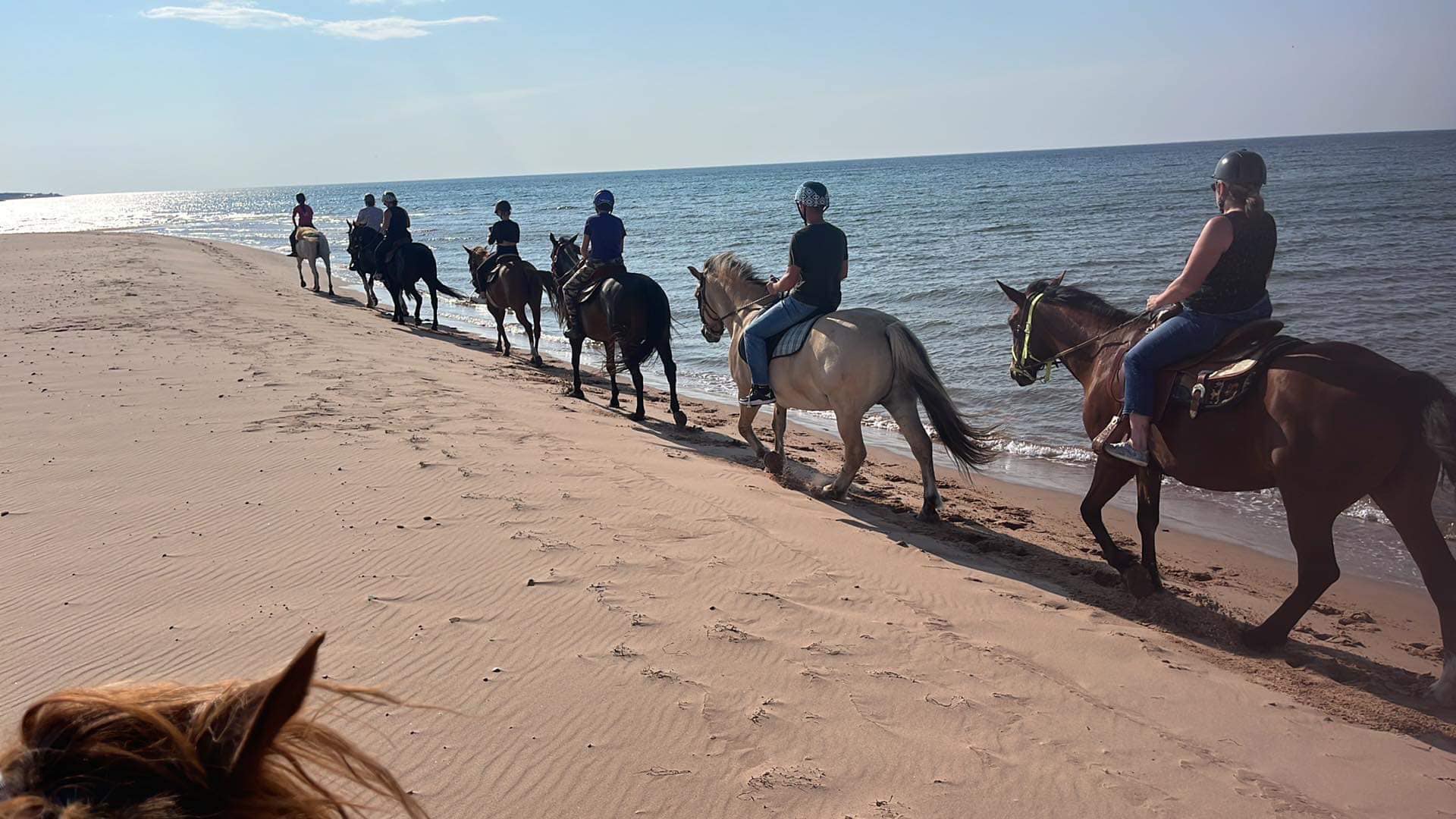 Brudenell Riding Stables