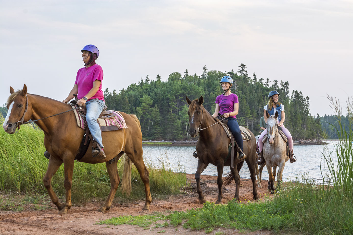Brudenell Riding Stables