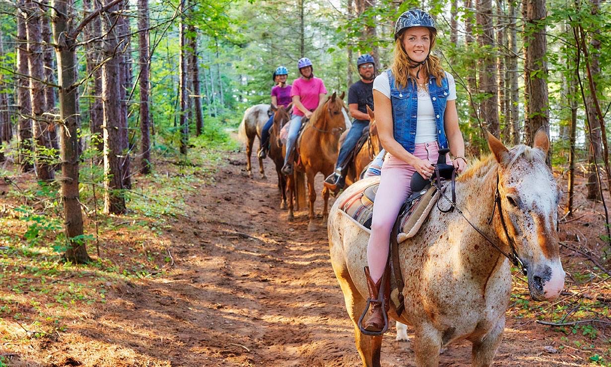 Brudenell Riding Stables
